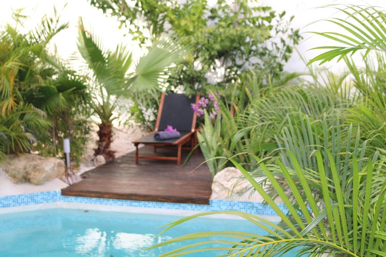 New House Tropic Paradise With Pool วิลเลมสตัด ภายนอก รูปภาพ