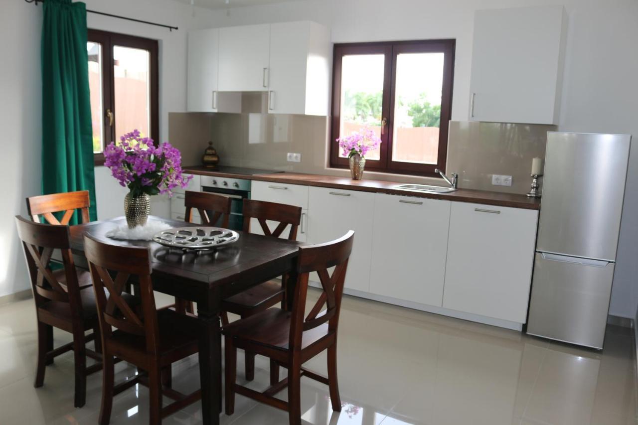 New House Tropic Paradise With Pool วิลเลมสตัด ภายนอก รูปภาพ