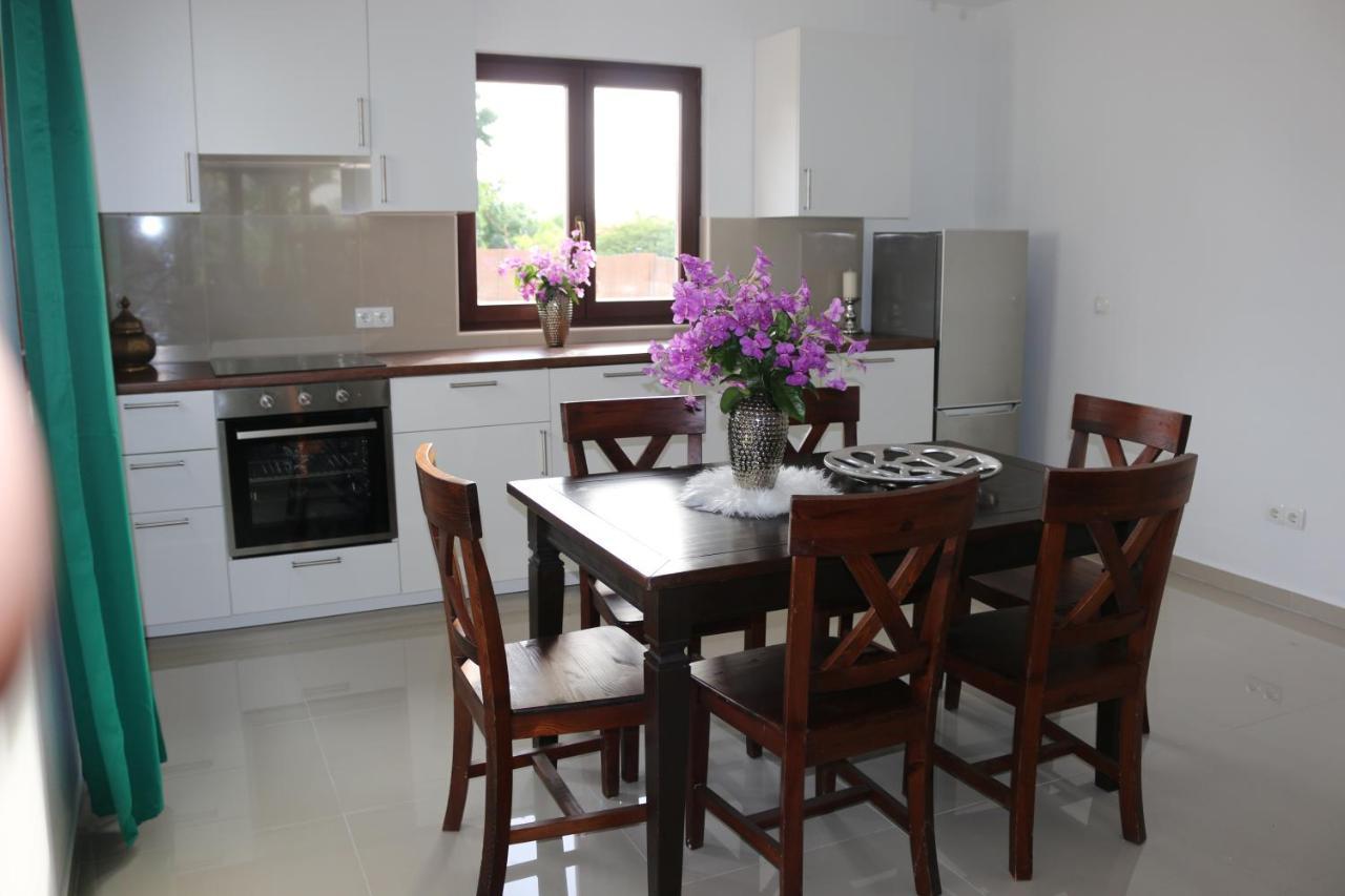 New House Tropic Paradise With Pool วิลเลมสตัด ภายนอก รูปภาพ
