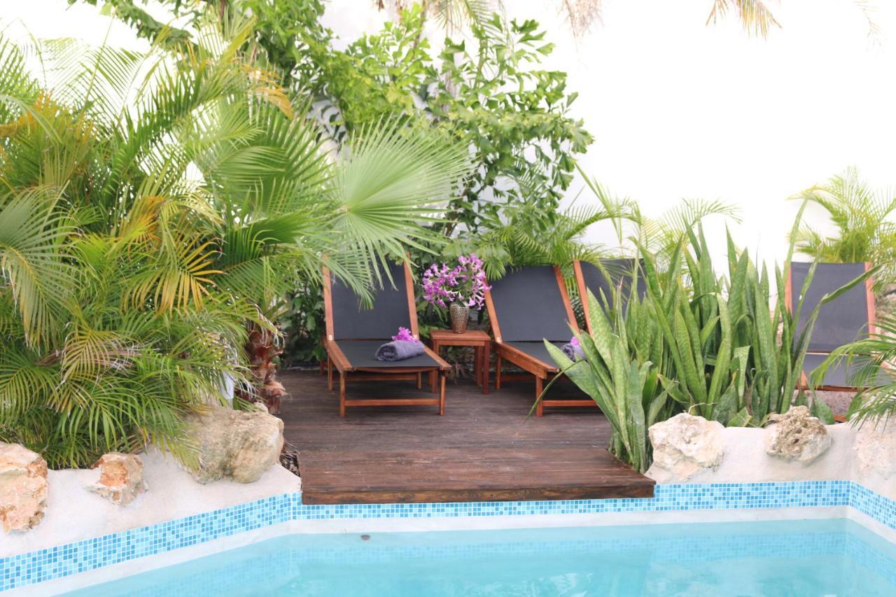 New House Tropic Paradise With Pool วิลเลมสตัด ภายนอก รูปภาพ