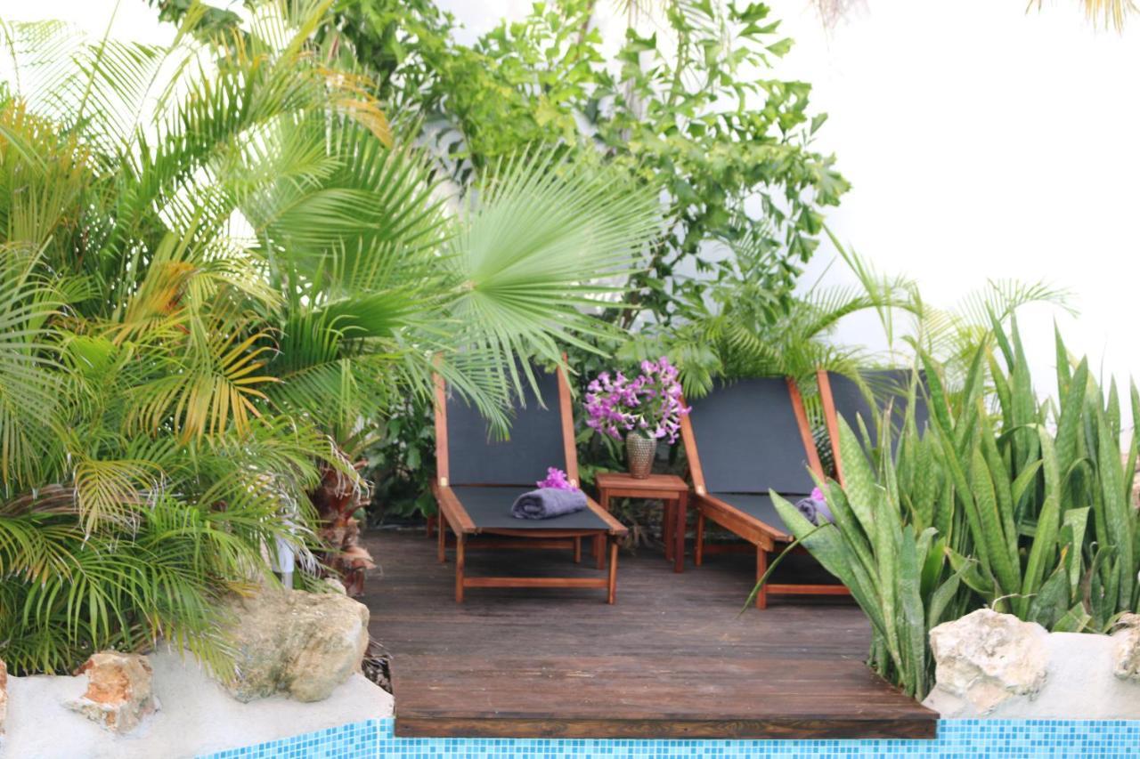 New House Tropic Paradise With Pool วิลเลมสตัด ภายนอก รูปภาพ