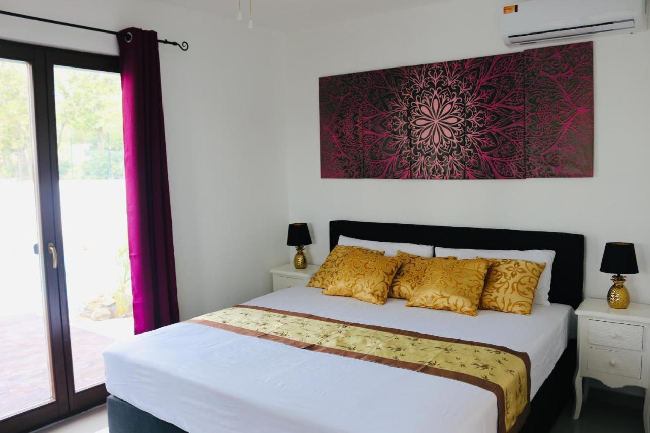 New House Tropic Paradise With Pool วิลเลมสตัด ภายนอก รูปภาพ