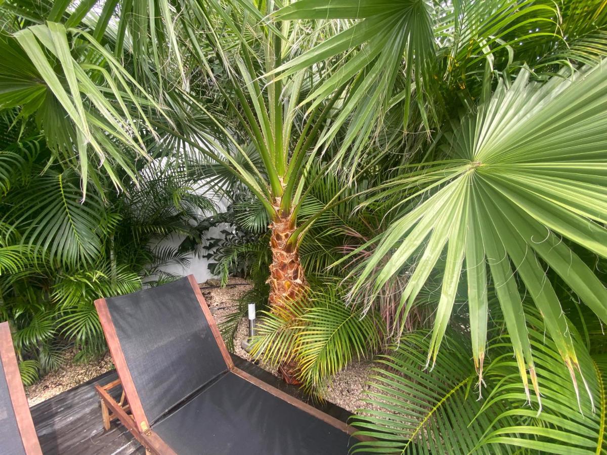 New House Tropic Paradise With Pool วิลเลมสตัด ภายนอก รูปภาพ